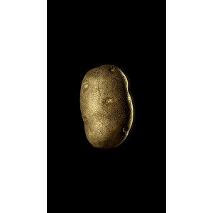 POTATO