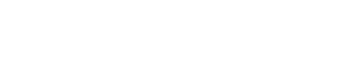 SBI Art Auction